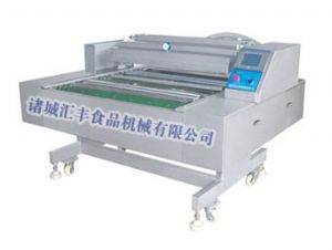 DZ-1000/1100滾動(dòng)式真空包裝機